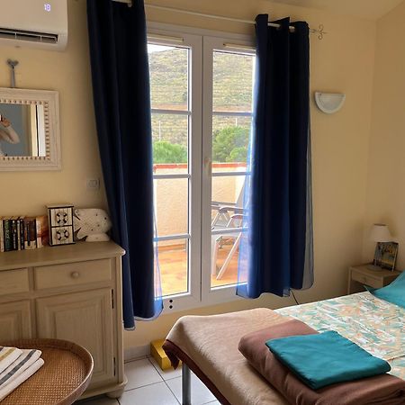 Aloes Apartment Cerbere Bagian luar foto